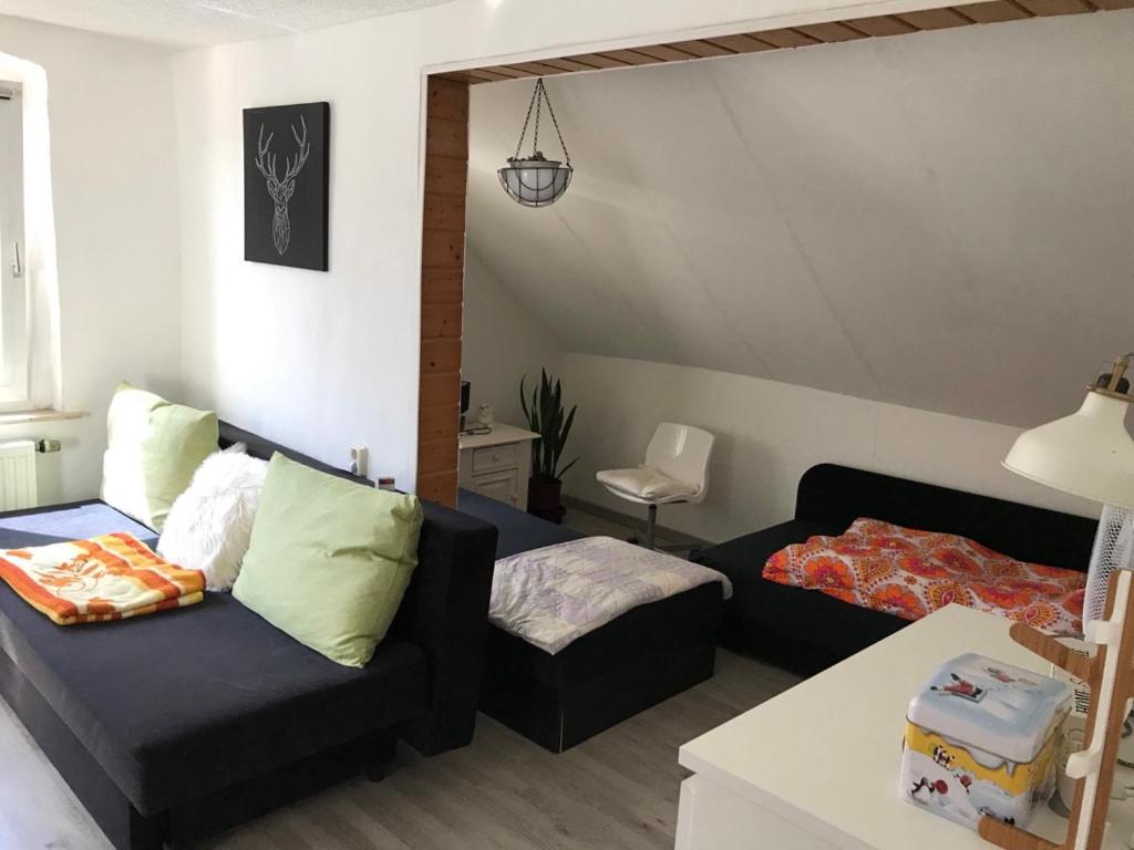 Ferienwohnung Im Einfamilienhaus, Automobil Und Robert Schumann Stadt Zwickau Exterior photo